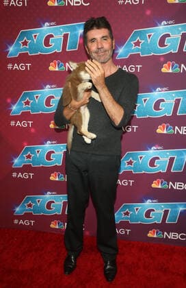 30 August 2022 - Pasadena, California - Simon Cowell. Red Carpet For America s Got Talent Season 17 Live Show held at the Sheraton Pasadena Hotel in Pasadena. Photo Credit: AdMedia 283579 2022-08-30 CA Pasadena Etats-Unis  Copyright: xAdMediax STAR_283579_044