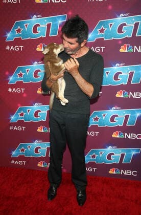 America s Got Talent Season 17 Live Show Red Carpet Event at Sheraton Pasadena Hotel Featuring: Simon Cowell, Odin the dog Where: Pasadena, California, United States When: 30 Aug 2022 Credit: Faye s Vision Cover Images Copyright: xx 51924651 EDITORIAL USE ONLY. NOT FOR USE BY NEWSPAPERS BASED IN THE UK.