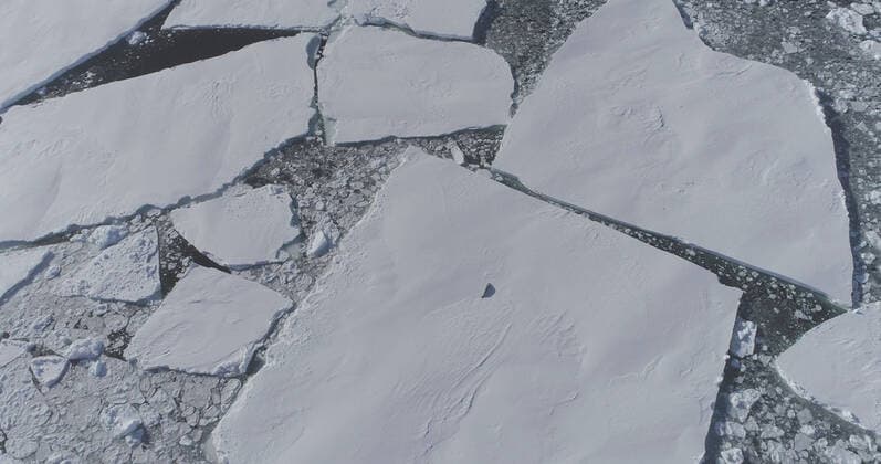 THIS IMAGE SHOWS: A lone seal on an ice floe in front of Thwaites Glacier, imaged from aerial drone. FEATURE STORY: The Thwaites Glacier in West Antarctica which is about the size of Florida and a key indicator for scientists trying to make global sea level rise predictions - is retreating alarmingly, scientists have found. This massive ice stream is already in a phase of fast retreat (a collapse when viewed on geological timescales) leading to widespread concern about exactly how much, or how fast, it may give up its ice to the ocean. The potential impact of Thwaites? retreat is spine-chilling: a total loss of the glacier and surrounding icy basins could raise sea levels from three to 10 feet. A new study in Nature Geoscience Copyright: xx 51945646 EDITORIAL USE ONLY. NOT FOR USE BY NEWSPAPERS BASED IN THE UK.