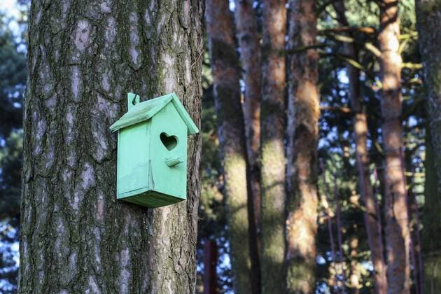 Bird house in the garden. Hanging home  BEW1DFB2A9C