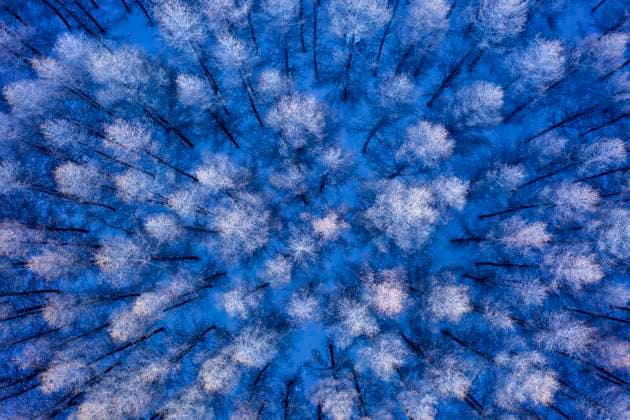 Inner Mongolia dam forest snow China, 18 05 2022, Copyright: xViewxStockx, dspd135302f10.jpg, Inner Mongolia,Wulanbutong,Bashang,Snow,Saihanba,Outdoors,Nature,Travel,Tree,china,Woods,Hill,Scenics,White,Cold Temperature,Winter,Ice,Forest,Mountain Range,Plant,snow covered,Primitivism,Wilderness Area,Frozen,Nobody,Directly Above,Cold,Photography,Color Image,Day,Horizontal,High Angle View,Travel Destinations,Beauty In Nature,Beautiful,Tourism,Winter Begins,Light snow,Great Snow,Silver Birch Tree,Tourist Resort,Full,Full Frame,Aerial View Copyright: xViewxStockx