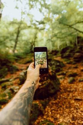 IMAGO Creative, Jahreszeit Herbst auf dem Land Hand holding a mobile phone and taking a photo to the forest, Model released AlbertoMenendez_HayedoArgovejo_50 Copyright: xAlbertoxMenendezx MR