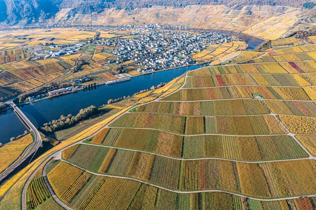 Germany, Rhineland-Palatinate, Minheim, Aerial view of autumn vineyards with river Moselle and small town in background AMF09588
