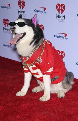 23 September 2022 - Las Vegas, NV - Swaggy Wolfdog. 2022 iHeart Radio Music Festival Friday Red Carpet Arrivals at the T-Mobile Arena. Photo Credit: MJT AdMedia 284464 2022-09-23 NV Las Vegas Etats-Unis  Copyright: xAdMediax STAR_284464_033
