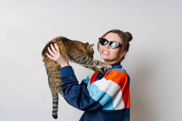 Young woman with cat clenching teeth against white background model released, Symbolfoto property released, TOF00063