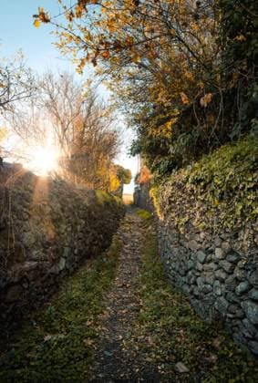 IMAGO Creative, Jahreszeit Herbst auf dem Land Perspective view of narrow walkway between old rocky fence with autumnal trees, Spain JesusMinchon_HuelvaLandscape_10 Copyright: xJesusxMinchonx Model Released