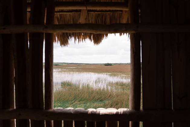 IMAGO Creative: Gesundheit, Stille Picturesque scenery from window of old wooden house of grass growing in calm lake against cloudy sky in countryside MiguelSerrano_JungleAdventure_46 Copyright: xMiguelxSerranox Model Released