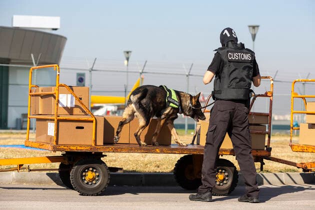 Customs and border protection officer and dog Customs and border protection officer and Drug enforcement administration special force participates with a specialized dog in a training at the airport for searching and seizing of illegal drugs. Copyright: xZoonar.com Cylonphotox zoonar_14345884