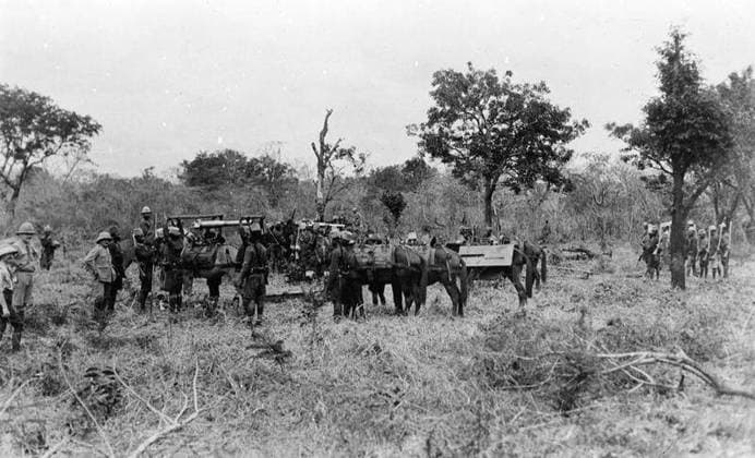 Ministry of Information First World War Official Collection German East African Campaign. Indian mountain guns with King s African Rifles escort. September 1917. Copyright: xpiemagsx minofinfopieww04102022-91 !ACHTUNG AUFNAHMEDATUM GESCHÄTZT!