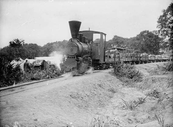 Ministry of Information First World War Official Collection German East African Campaign. Supply train, Mtama, January 1918. Copyright: xpiemagsx minofinfopieww04102022-332 !ACHTUNG AUFNAHMEDATUM GESCHÄTZT!