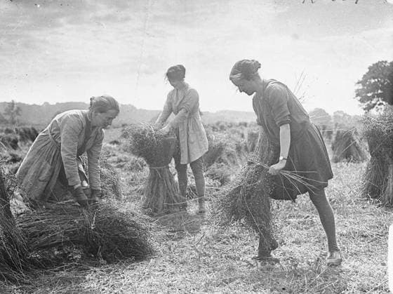 Ministry of Information First World War Official Collection Girl workers tying and stacking the flax. Copyright: xpiemagsx minofinfopieww04102022-1335 !ACHTUNG AUFNAHMEDATUM GESCHÄTZT!