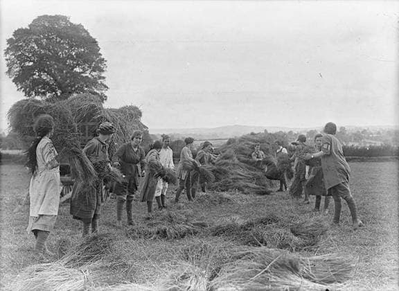 Ministry of Information First World War Official Collection Girl workers tying and stacking the flax. Copyright: xpiemagsx minofinfopieww04102022-1341 !ACHTUNG AUFNAHMEDATUM GESCHÄTZT!