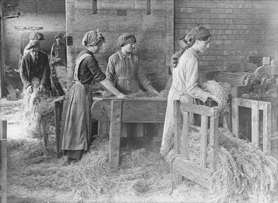 Ministry of Information First World War Official Collection College girl workers breaking the flax. Copyright: xpiemagsx minofinfopieww04102022-1344 !ACHTUNG AUFNAHMEDATUM GESCHÄTZT!