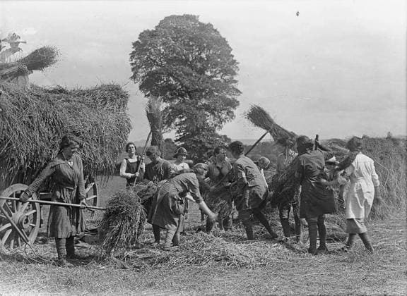 Ministry of Information First World War Official Collection Girl workers loading flax on to a wagon.. Copyright: xpiemagsx minofinfopieww04102022-1350 !ACHTUNG AUFNAHMEDATUM GESCHÄTZT!