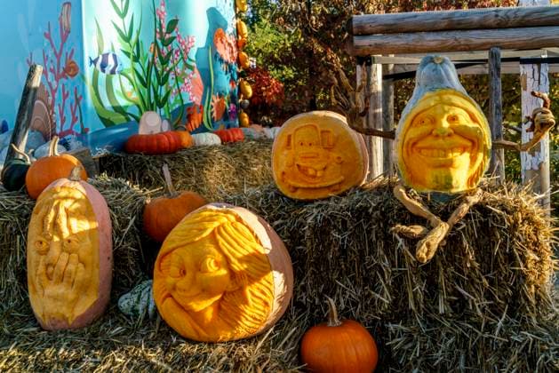 Kürbisausstellung auf dem Spargelhof Klaistow 2022 Kürbisausstellung auf dem Spargelhof Klaistow, Erlebnisbauerhof, Herbst, Potsdam-Mittelmark , Deutschland, *** Pumpkin exhibition at the asparagus farm Klaistow 2022 Pumpkin exhibition at the asparagus farm Klaistow, experience farm, autumn, Potsdam Mittelmark , Germany,