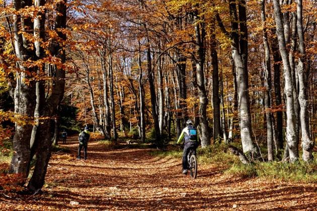 Autumn Season In Beskid Mountains A hiker and a cyclist are seen in a forest as Autumn leaves cover hiking paths in the picturesque Beskid mountains near Krynica Zdroj, Poland on October 11, 2022. Beskid paths are popular holiday destinations for hikers and cyclists in Autumn season. Krynica Zdroj maÅ‚opolskie Poland  Copyright: xDominikaxZarzyckax originalFilename: zarzycka-hikingpa221009_npF5Z.jpg