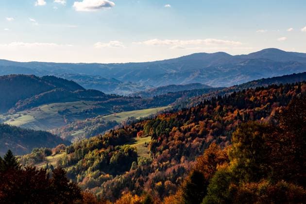 Autumn Season In Beskid Mountains A view from Wierchomla mountain on picturesque Beskid mountains as Autumn leaves cover trees near Krynica Zdroj, Poland on October 11, 2022. Beskid paths are popular holiday destinations for hikers and cyclists in Autumn season. Krynica Zdroj maÅ‚opolskie Poland  Copyright: xDominikaxZarzyckax originalFilename: zarzycka-hikingpa221009_npsfI.jpg