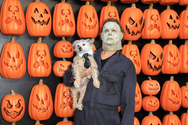 Bilder des Jahres 2022, Entertainment 10 Oktober Entertainment Themen der Woche KW41 October 11, 2022, Los Angeles, California, USA: LOS ANGELES - OCT 11: David Michor, Dog Albert at the World Premiere of Halloween Ends at the TCL Chinese Theatre IMAX on October 11, 2022 in Los Angeles, CA. Los Angeles USA - ZUMAg107 20221011_zep_g107_021 Copyright: xNinaxPrommerx