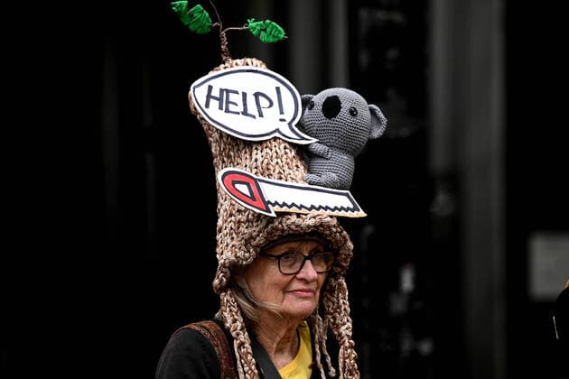 News Themen der Woche KW41 NSW FOREST LOGGING PROTEST, Protesters are seen during an anti-logging rally at Martin Place in Sydney, Thursday, October 13, 2022. ( NO ARCHIVING, EDITORIAL USE ONLY, NO USE IN BOOKS WITHOUT CONSENT SYDNEY NSW AUSTRALIA  Copyright: xDANxHIMBRECHTSx 20221013001716261724