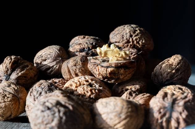 Close up of a pile of walnuts in a shell, Belgium
