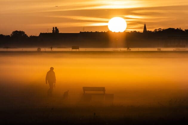 Ein Spaziergaenger mit Hund, aufgenommen beim Nebel am Morgen auf dem Tempelhofer Feld in Berlin, 27.10.2022. Berlin Deutschland *** A walker with dog taken in the morning fog at Tempelhofer Feld in Berlin, 27 10 2022 Berlin Germany Copyright: xFlorianxGaertner photothek.dex