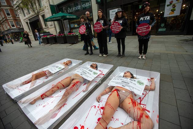 News Themen der Woche KW44 News Bilder des Tages Großbritannien, PETA Protest in London November 1, 2022, London, England, United Kingdom: PETA activists pose as meat in trays outside Whole Foods supermarket in Piccadilly Circus on World Vegan Day. London United Kingdom - ZUMAs262 20221101_zip_s262_037 Copyright: xTayfunxSalcix
