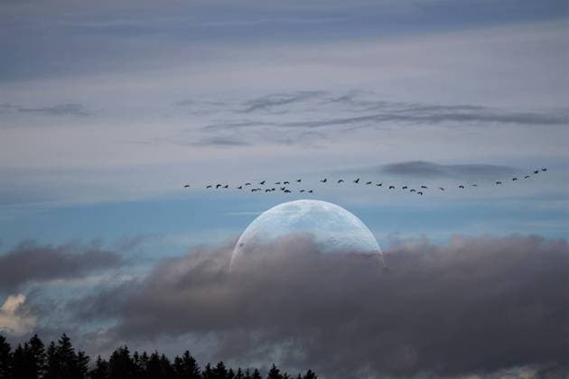 Bilder des Jahres 2022, News 10 Oktober News Themen der Woche KW44 Rückeroth Themenfoto: Herbst, Mond, Zugvoegel, 31.10.2022 Ein Schwarm Kraniche zieht in Richtung Winterquartier, im Hintergrund ein grosser Vollmond, Themenfoto: Herbst, Mond, Zugvoegel - *** Rückeroth theme photo autumn, moon, migratory birds, 31 10 2022 A flock of cranes moves towards winter quarters, in the background a big full moon, theme photo autumn, moon, migratory birds Copyright: xAugstx xEibner-Pressefotox EP_jat