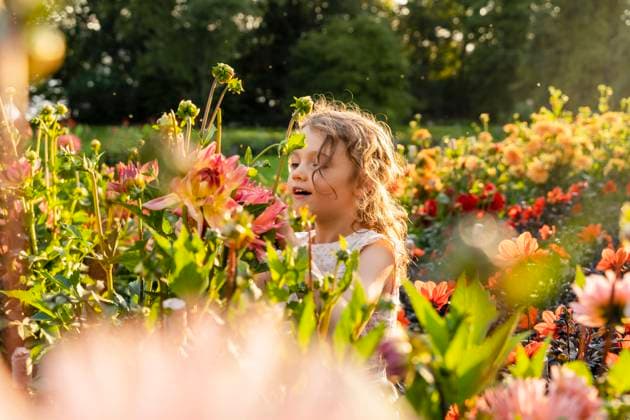 IMAGO Creative: Sommer, Sommertage im Garten Little girl smelling flowers in garden model released, Symbolfoto, DIGF18831