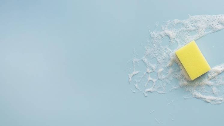  Draufsicht Reinigungsschwamm mit Kopierraum. Auflösung und hohe Qualität schönes Foto *** Top view Cleaning sponge with Kopierraum Resolution and high Quality Beautiful Photo Copyright: imageBROKER/OleksandrxLatkun ibxole08511661.jpg