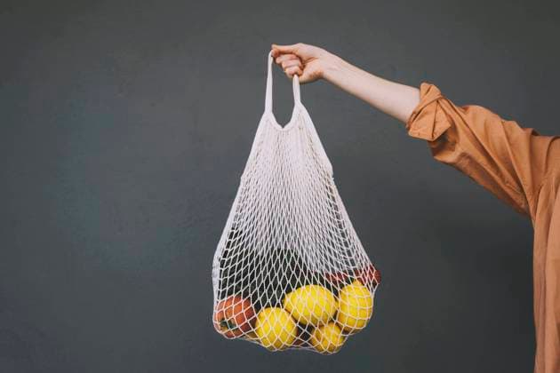 Woman holding lemons and vegetables in mesh bag against gray background model released, Symbolfoto, NDEF00020