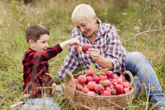 Smiling grandmother and grandson comparing apples together at orchard model released, Symbolfoto, ONAF00146