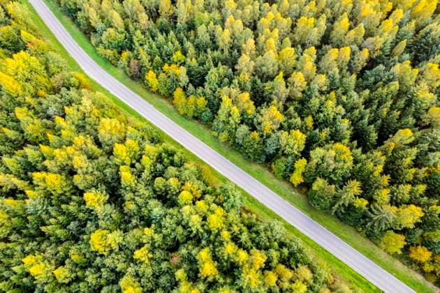 IMAGO Creative, Jahreszeit Herbst auf dem Land Germany, Baden-Wurttemberg, Drone view of country road cutting through green autumn forest in Rems Valley, STSF03546