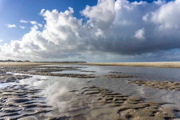 Nordsee, Insel Spiekeroog, Herbst, im Osten der Insel, Wattenmeer bei Ebbe, Ostfriesischen Inseln, Niedersachsen, Deutschland, Insel Spiekeroog *** North Sea, Spiekeroog Island, autumn, east of the island, Wadden Sea at low tide, East Frisian Islands, Lower Saxony, Germany, Spiekeroog Island