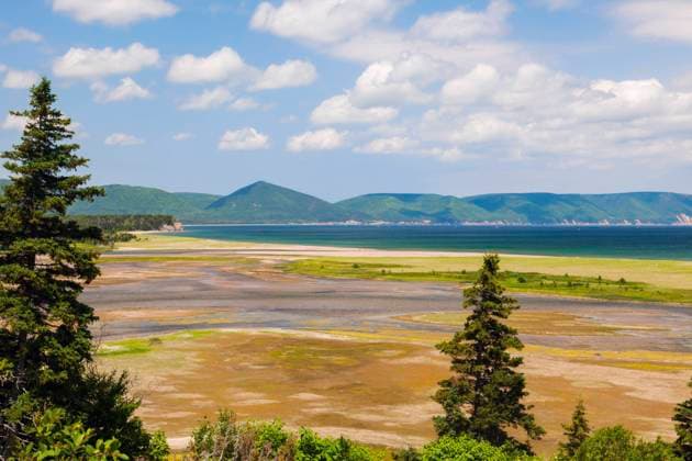 RECORD DATE NOT STATED Cape Breton Highlands National Park in Nova Scotia. Nova Scotia, Canada. , 36638126.jpg, Atlantic, Canada, Cape Breton, Cape Breton Highlands National Park, aerial, swamp, wilderness, National Park, Nova Scotia, beach, nature, day, landmark, landscape, light, lighthouse, ocean, outdoors, sea, sunny, travel