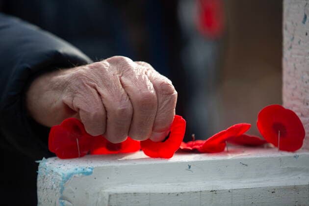 November 11, 2022, St. John s, NL, CANADA: A veteran places his poppy on a wooden cross at the conclusion of a Remembrance Day ceremony held at the National War Cemetery in St. JohnöÄÃ s, Friday, Nov. 11, 2022. St. John s CANADA  - ZUMAc35_ 20221111_zaf_c35_017 Copyright: xPaulxDalyx