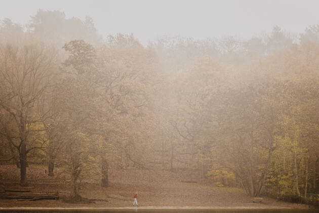 Ein Spaziergaenger am Grunewaldsee, aufgenommen im Grunewald in Berlin, 16.11.2022. Berlin Deutschland *** A walker at Grunewaldsee, taken in Grunewald in Berlin, 16 11 2022 Berlin Germany Copyright: xFlorianxGaertner photothek.dex