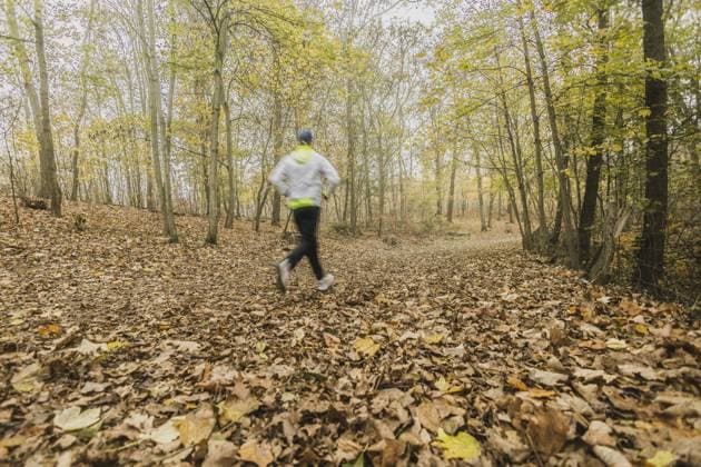 IMAGO Creative: Fit durch den Herbst Ein Jogger, aufgenommen im Grunewald in Berlin, 16.11.2022. Berlin Deutschland *** A jogger taken in Grunewald in Berlin, 16 11 2022 Berlin Germany Copyright: xFlorianxGaertner photothek.dex