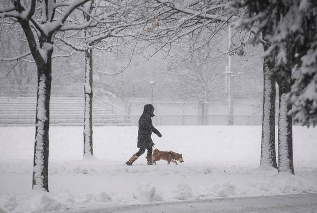 November 16, 2022, Montreal, PQ, Canada: A woman walks a dog through a park in Montreal, Wednesday, November 16, 2022, as the first major snowfall hits the city. Montreal Canada  - ZUMAc35_ 20221116_zaf_c35_092 Copyright: xGrahamxHughesx