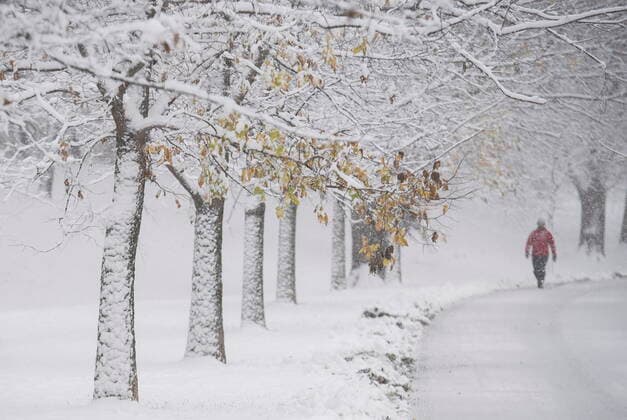 November 16, 2022, Montreal, PQ, Canada: A person walks through a snow-covered park in Montreal, Wednesday, November16, 2022, as the first major snowfall hits the city. Montreal Canada  - ZUMAc35_ 20221116_zaf_c35_099 Copyright: xGrahamxHughesx