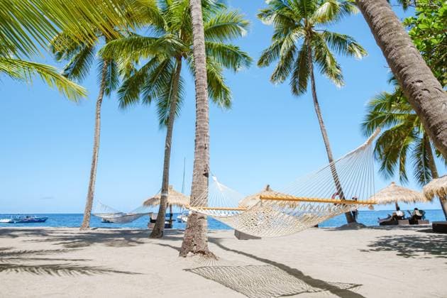 hammock with palm trees in a blue sky at the Caribbean St Lucia Island hammock with palm trees in a blue sky at the Caribbean St Lucia Island or Saint Lucia Copyright: xZoonar.com FokkexBaarssenx 18968411 ,model released, Symbolfoto ,property released