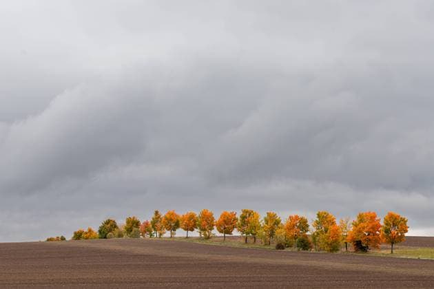 IMAGO Creative: Herbst, Laubverfärbung Herbststimmung Bilder aus dem Harz Herbststimmung Bilder aus dem Harz Copyright: xZoonar.com KUEHNExDKxFOTOWELTx 19163812