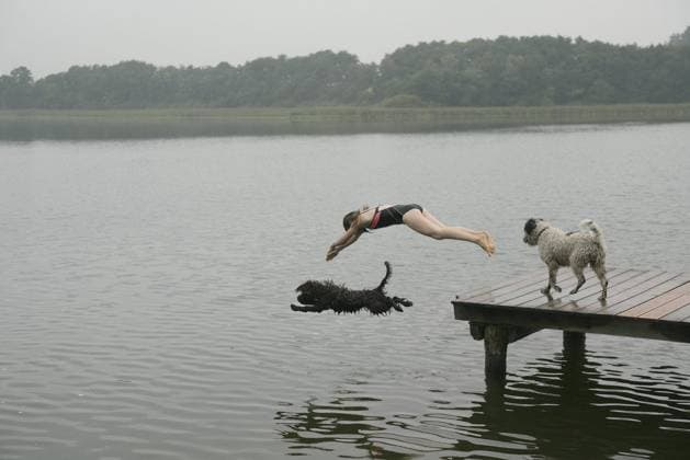 Girl and pet dogs diving into lake from dock Germany Mecklenburg-Vorpommern  Copyright: JuliaxChriste fStopImages2016003 ,model released, Symbolfoto