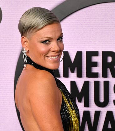 November 20, 2022, Los Angeles, CA, USA: Pink attends the 2022 American Music Awards at Microsoft Theater on November 20, 2022 in Los Angeles, California. Los Angeles USA - ZUMAs181 20221120_zea_s181_452 Copyright: xImagespacex