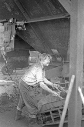 DDR, Sachsen, historisch, Wirtschaft, Volkswirtschaft, Betriebe (VEB Volkseigene Betriebe): Dresdner Kohlehandel, Betriebsteil Pirna, Arbeitsalltag, Entladen von Eisenbahnwaggons, Arbeiter namentlich nicht benannt. August 1987. Veröffentlichung in Sächsische Zeitung am 21.08.1987: Der nächste Winter kommt sicher. Einer der fünf Betriebsteile des Dresdner Kohlehandels ist der in Pirna. Hier kommt an jedem Tag ein Güterzug des Braunkohlenkombinats Schwarze Pumpe an, aus dem bis zu 600 Tonnen Briketts und 200 Tonnen Klarkohle entladen werden müssen. Insgesamt sind es 1.100 Tonnen, die von den über 100 Kohlearbeitern mit Groß- und Kleinfahrzeugen, vom Skoda, W 5O, Robur bis zum Multicar verteilt werden. Allein 25.000 Haushalte im Raum P Copyright: xSZ GunterxHübnerx 0000010121133592 ! ACHTUNG Aufnahmedatum laut Beschriftung