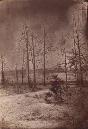 RECORD DATE NOT STATED The Wilderness Battlefield, 1864. Creator: Unknown. Copyright:xHeritagexArt HeritagexImagesx IMAGO ,2780876 ! ACHTUNG: AUFNAHMEDATUM GESCHÄTZT!  Copyright:HeritagexArt HeritagexImagesx IMAGO