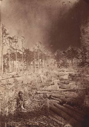 RECORD DATE NOT STATED The Wilderness Battlefield, 1864. Creator: Unknown. Copyright:xHeritagexArt HeritagexImagesx IMAGO ,2780906 ! ACHTUNG: AUFNAHMEDATUM GESCHÄTZT!  Copyright:HeritagexArt HeritagexImagesx IMAGO