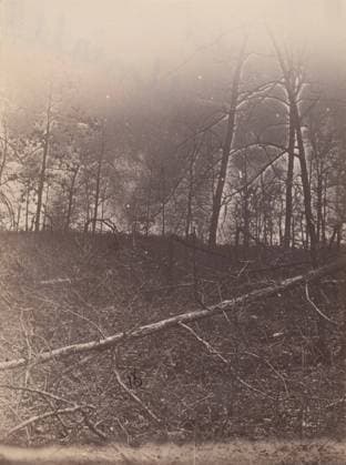 RECORD DATE NOT STATED The Wilderness Battlefield, 1864. Creator: Unknown. Copyright:xHeritagexArt HeritagexImagesx IMAGO ,2780917 ! ACHTUNG: AUFNAHMEDATUM GESCHÄTZT!  Copyright:HeritagexArt HeritagexImagesx IMAGO