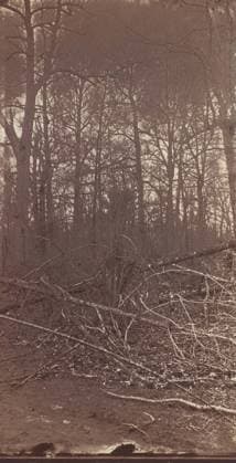 RECORD DATE NOT STATED The Wilderness Battlefield, 1864. Creator: Unknown. Copyright:xHeritagexArt HeritagexImagesx IMAGO ,2780931 ! ACHTUNG: AUFNAHMEDATUM GESCHÄTZT!  Copyright:HeritagexArt HeritagexImagesx IMAGO