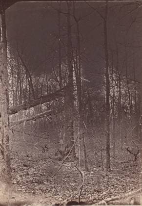 RECORD DATE NOT STATED The Wilderness Battlefield, 1864. Creator: Unknown. Copyright:xHeritagexArt HeritagexImagesx IMAGO ,2780936 ! ACHTUNG: AUFNAHMEDATUM GESCHÄTZT!  Copyright:HeritagexArt HeritagexImagesx IMAGO