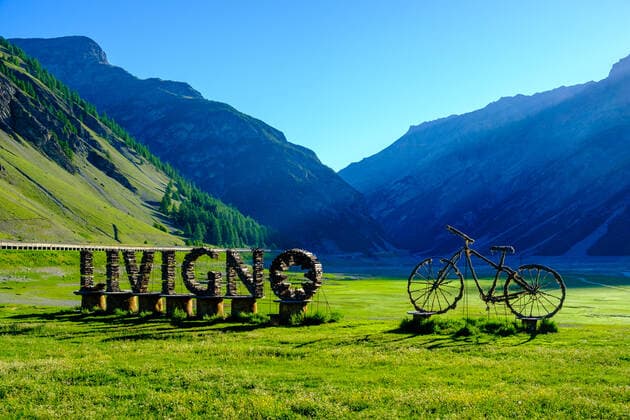 Artful decoration on a meadow at the entrance of Livigno town Livigno Lombardy Italy Reise FB_2017_3785
